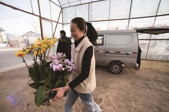 各种花卉还销往锦州、营口等周边地区。