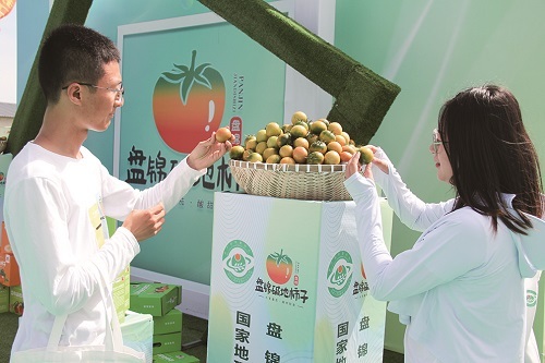 嘉宾学习品鉴碱地柿子。