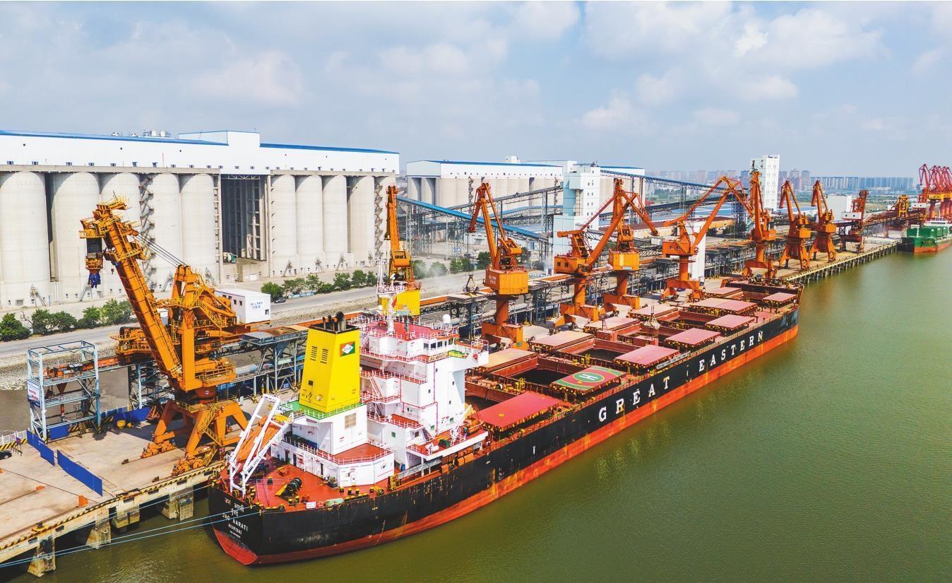 今年上半年,丹东港累计完成货物吞吐量1729.7万吨,同比增长22.6%。(摄影:刘海东)