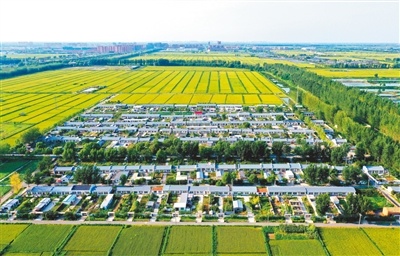 宜居宜游的大洼区王家街道石庙子村 宗树兴摄