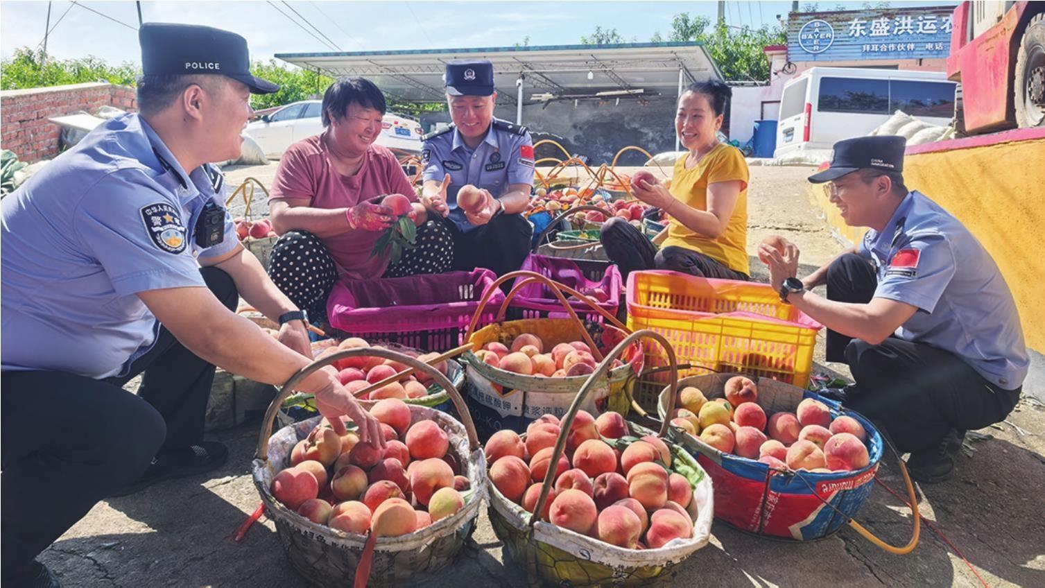 民警把服务触角延伸至田间地头，用务实举措守护果农的丰收期盼。警方供图