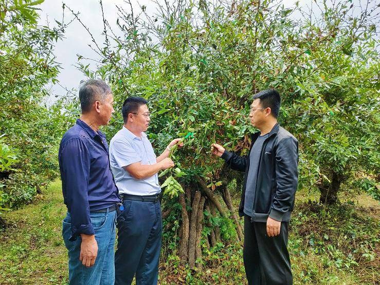 丹东市举办农村实用技术人才培训班，邀请辽宁省蚕业科学研究所副所长李喜升（左二）深入乡镇蚕场进行现场教学。&nbsp;