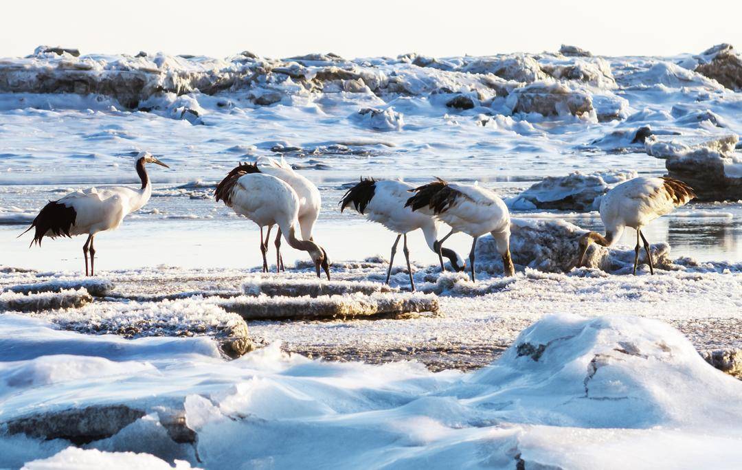 （摄影：刘杰 高军）