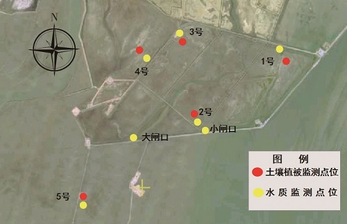 黑嘴鸥繁殖地各调查点位置图。图片由盘锦市林湿局提供