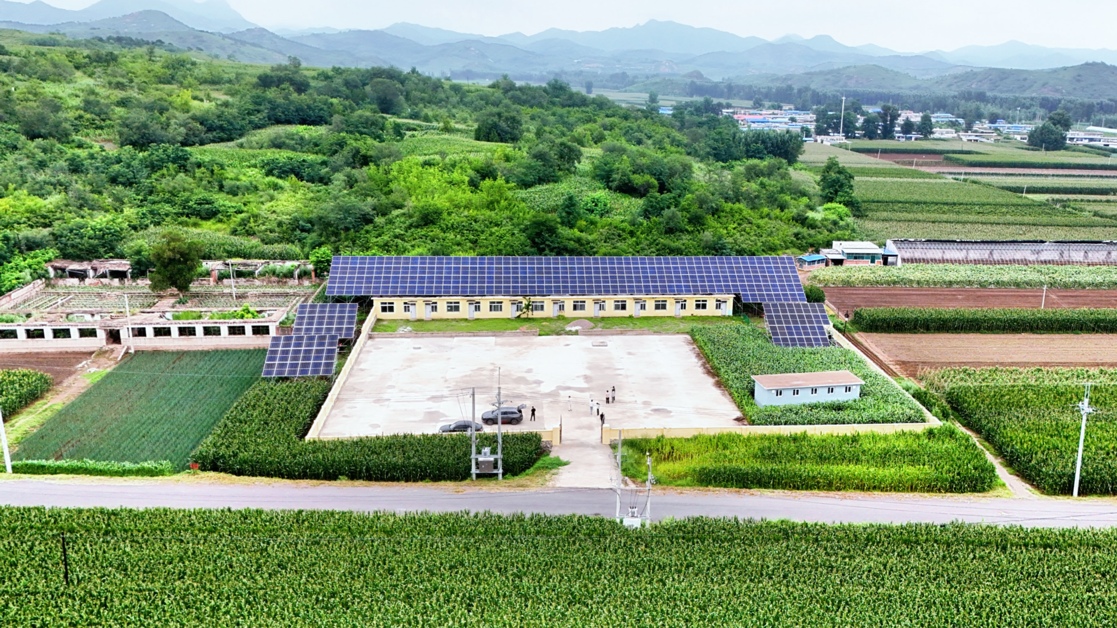 西孤山村2300平方米光伏板。(摄影:王野)