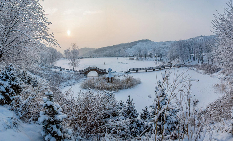 风雪大梨树 刘敏