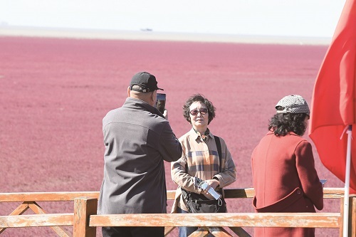 游客在红海滩拍照打卡。