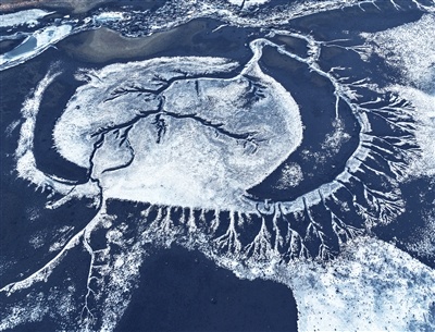 湿地奇观令人叹为观止。 尹维华摄