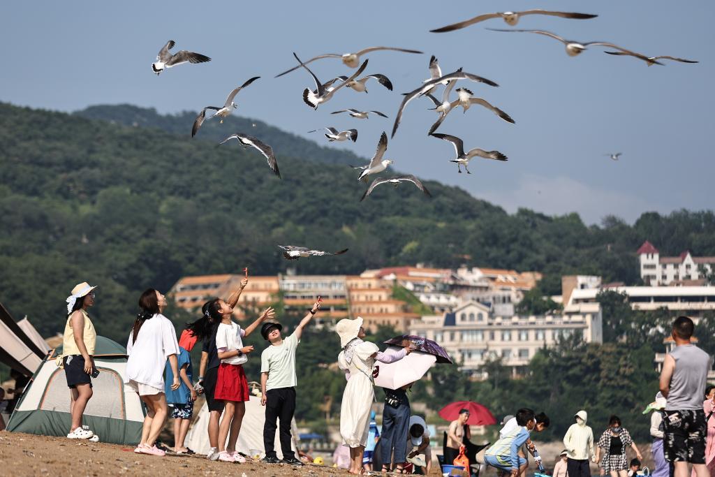 2025年7月10日游客在大连傅家庄公园海滨沙滩投喂海鸥。新华社记者 潘昱龙 摄
