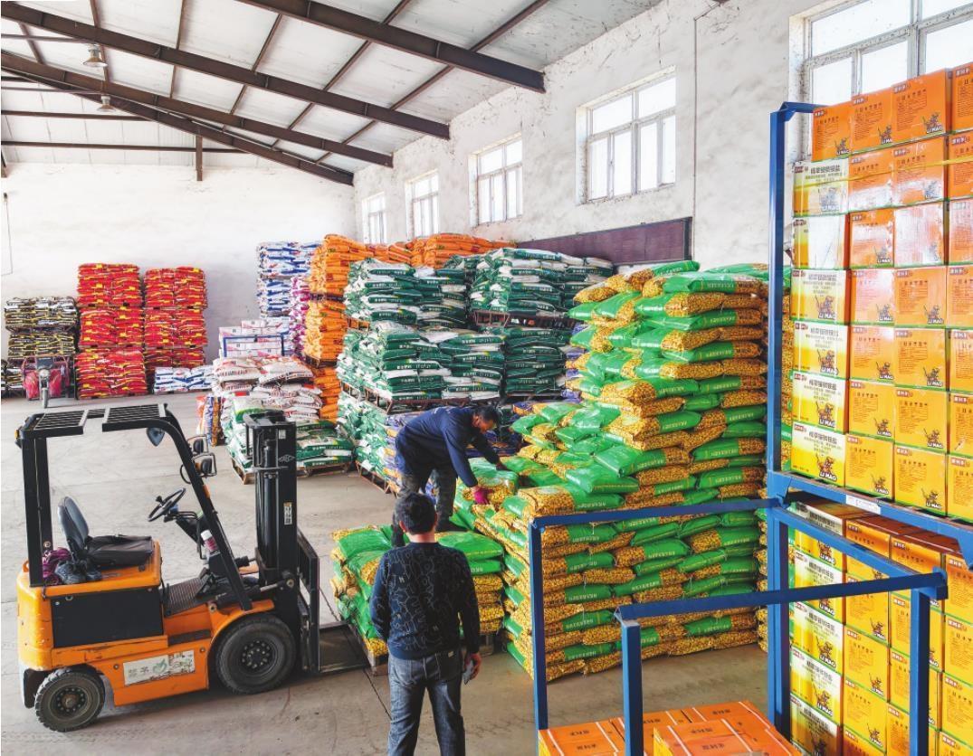 绥中县李家堡乡长帅农资批发部工作人员正在装载运送化肥。 辽宁日报特约记者 田嘉 摄