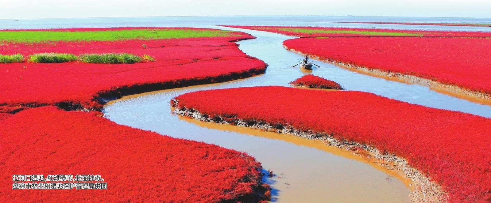 辽河口湿地，红滩绿苇，壮丽神奇。盘锦市林业和湿地保护管理局供图