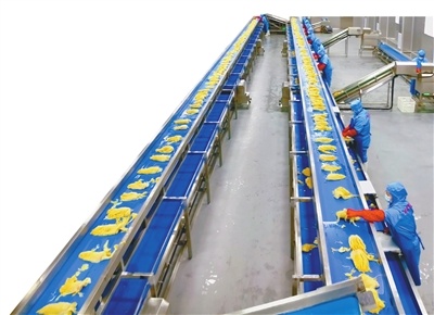 沈阳时丰酸菜产业园有限公司10万级GMP智能化酸菜生产车间。（摄影：李浩）