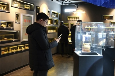 参加活动人员在红海滩湿地科学馆了解湿地知识。