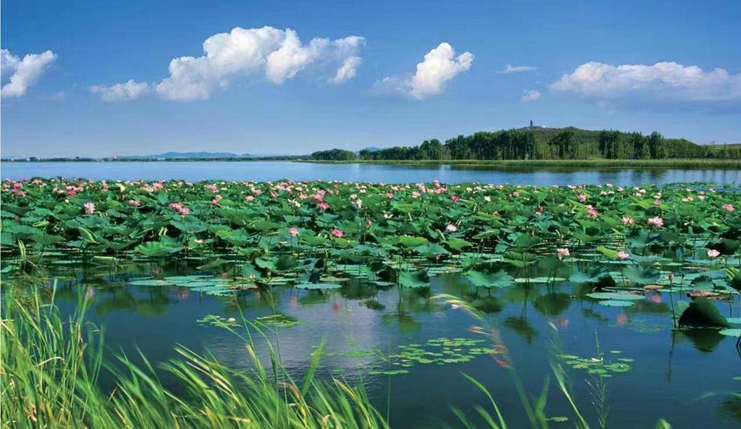 铁岭莲花湖湿地公园。(铁岭市委宣传部供图)