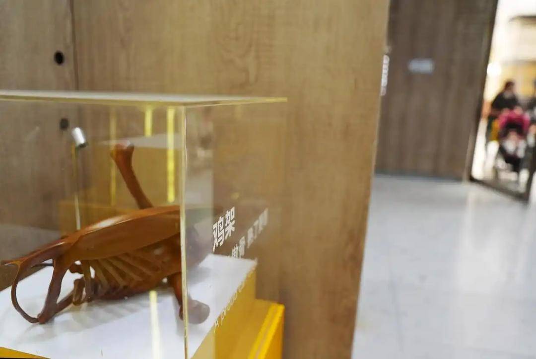 沈阳鸡架博物馆的展品。新华社记者 李钢 摄