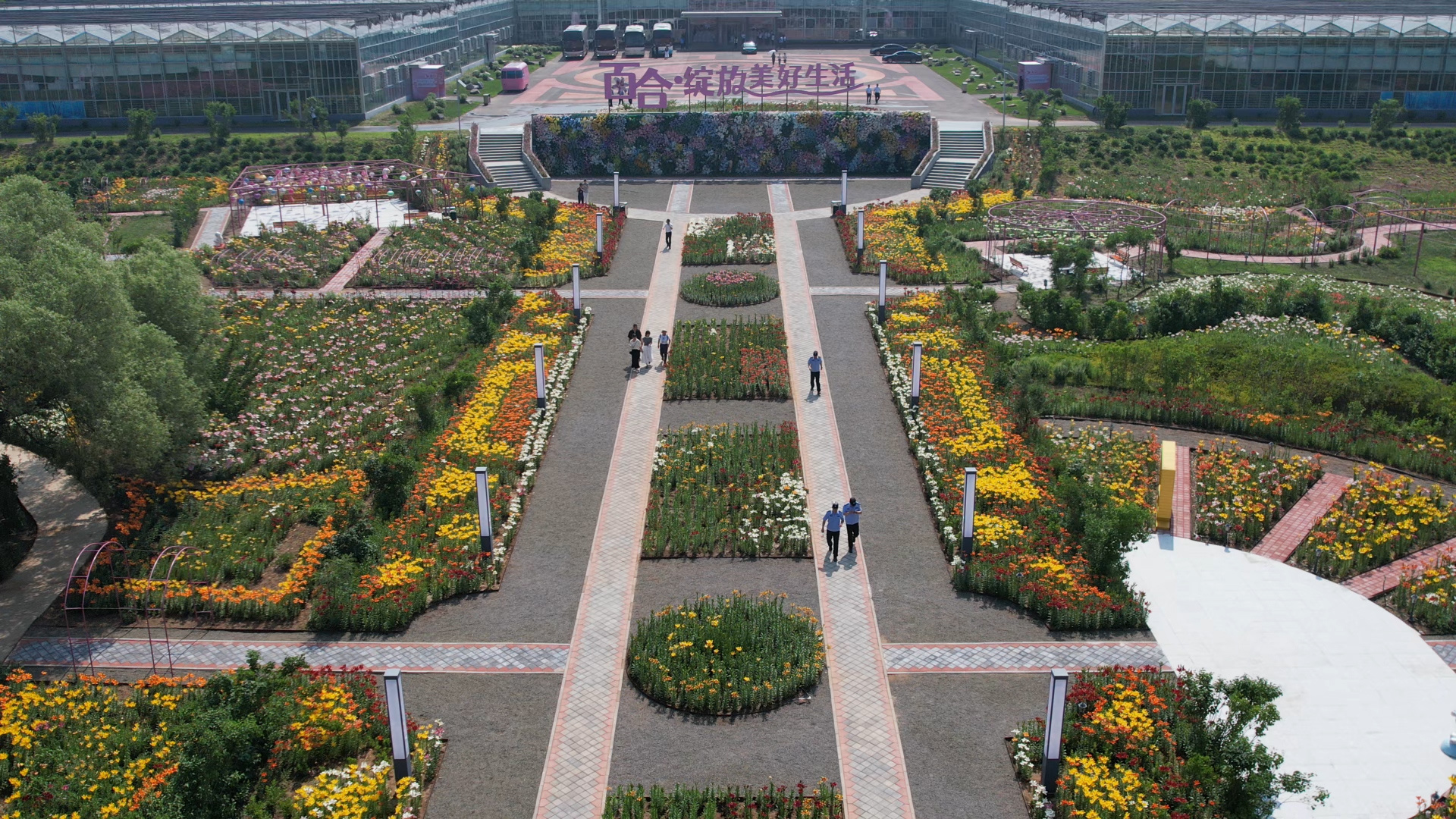 凌源市百合博览园满园芬芳，花香四溢。（来源：图片由凌源市委宣传部提供）