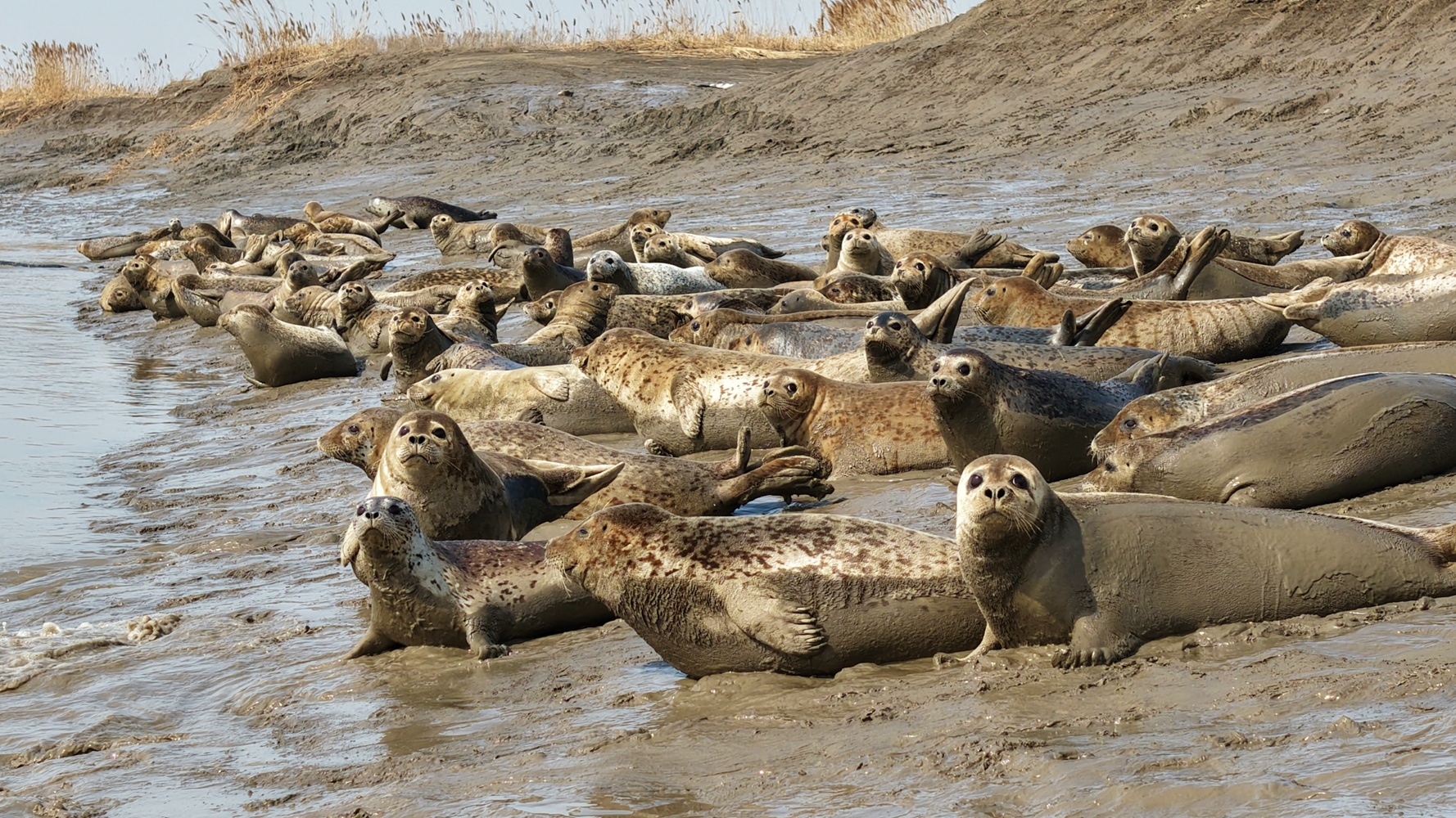 （摄影：杨靖岫）