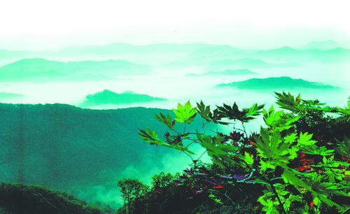 辽宁老秃顶子国家级自然保护区。(图片由本溪市林业和草原局提供)
