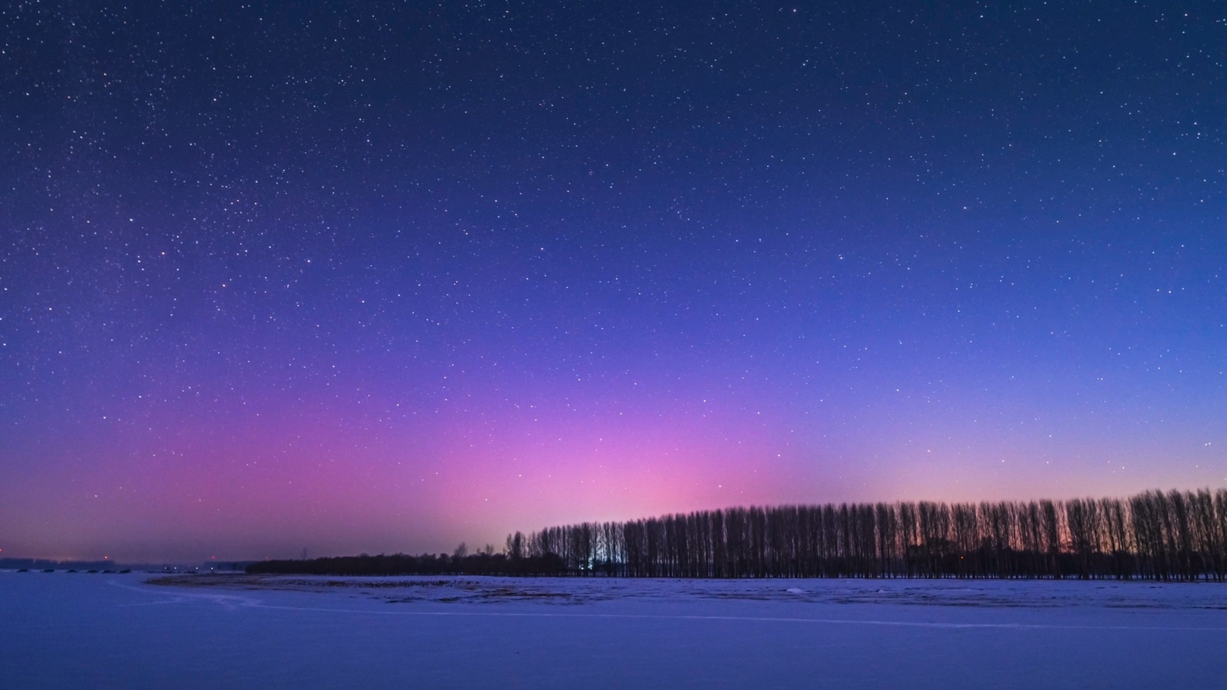 （摄影：董茂爽 邹新江）