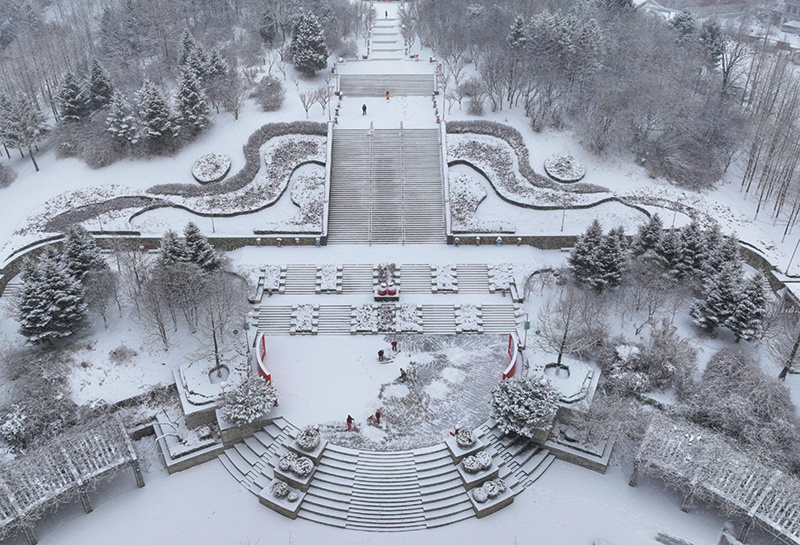 瑞雪迎春 齐艳华