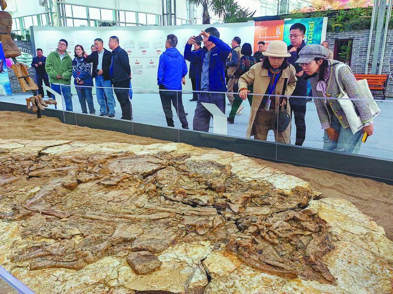 专家学者参观“热河生物群百年学术论坛·精品(模式标本)化石科普特展”。(摄影:张旭)
