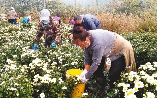 宋永昆 摄