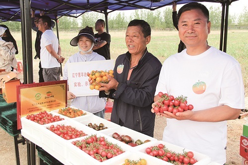 展销区的碱地柿子品类繁多,吸引不少嘉宾驻足。
