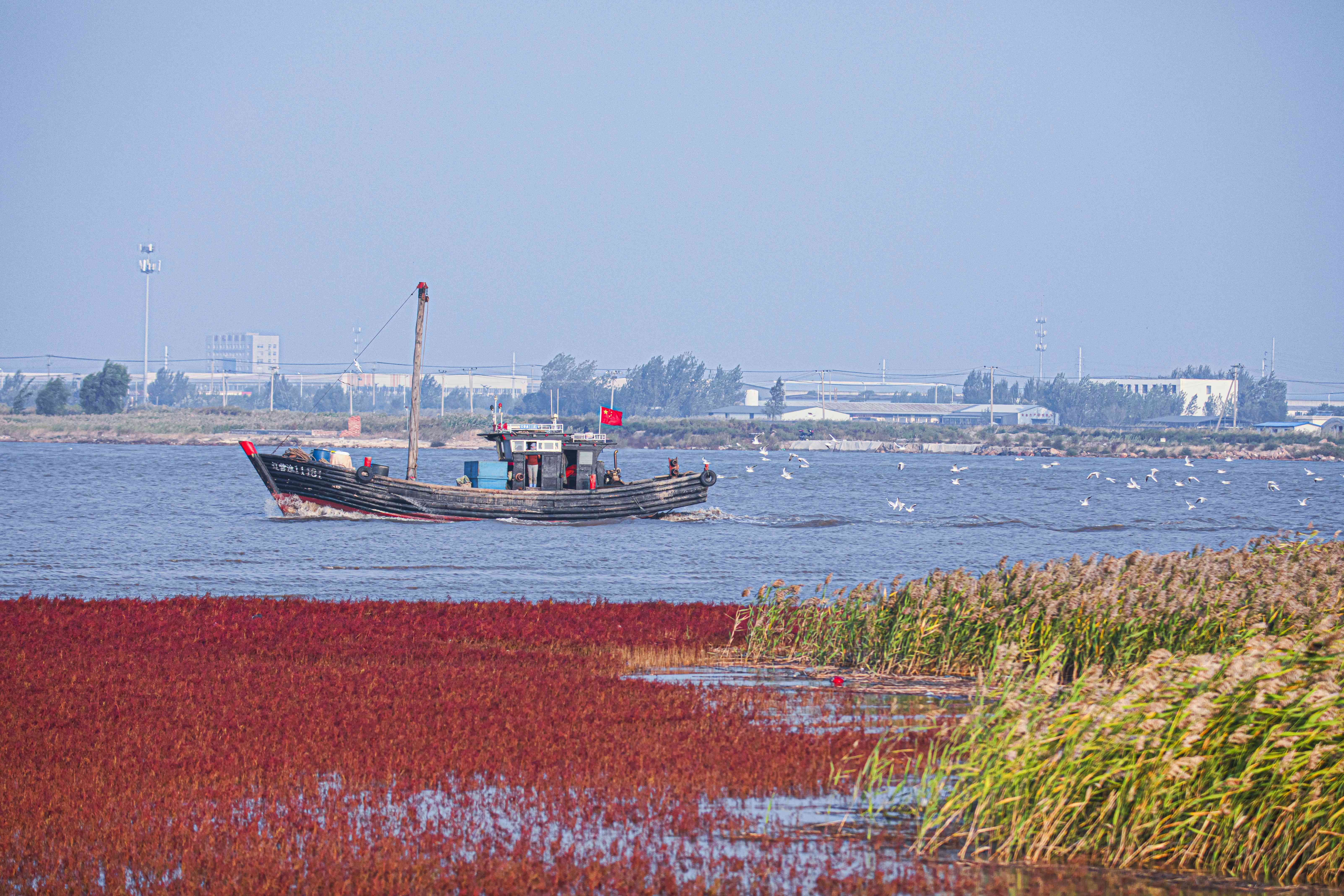 大辽河永远角湿地风光。(摄影:唐晓红)