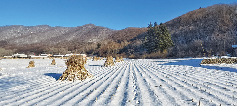 冬天的旋律 孙继兴
