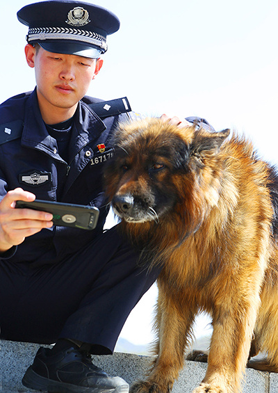 工作间隙，“宝和”总会凑到赵海峰身边一起看手机消遣一会儿。