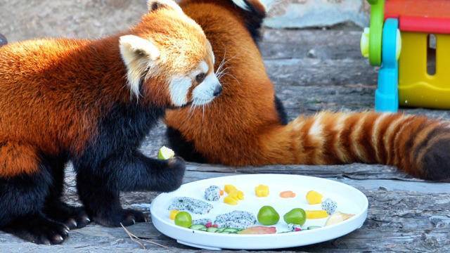 图片由受访单位提供