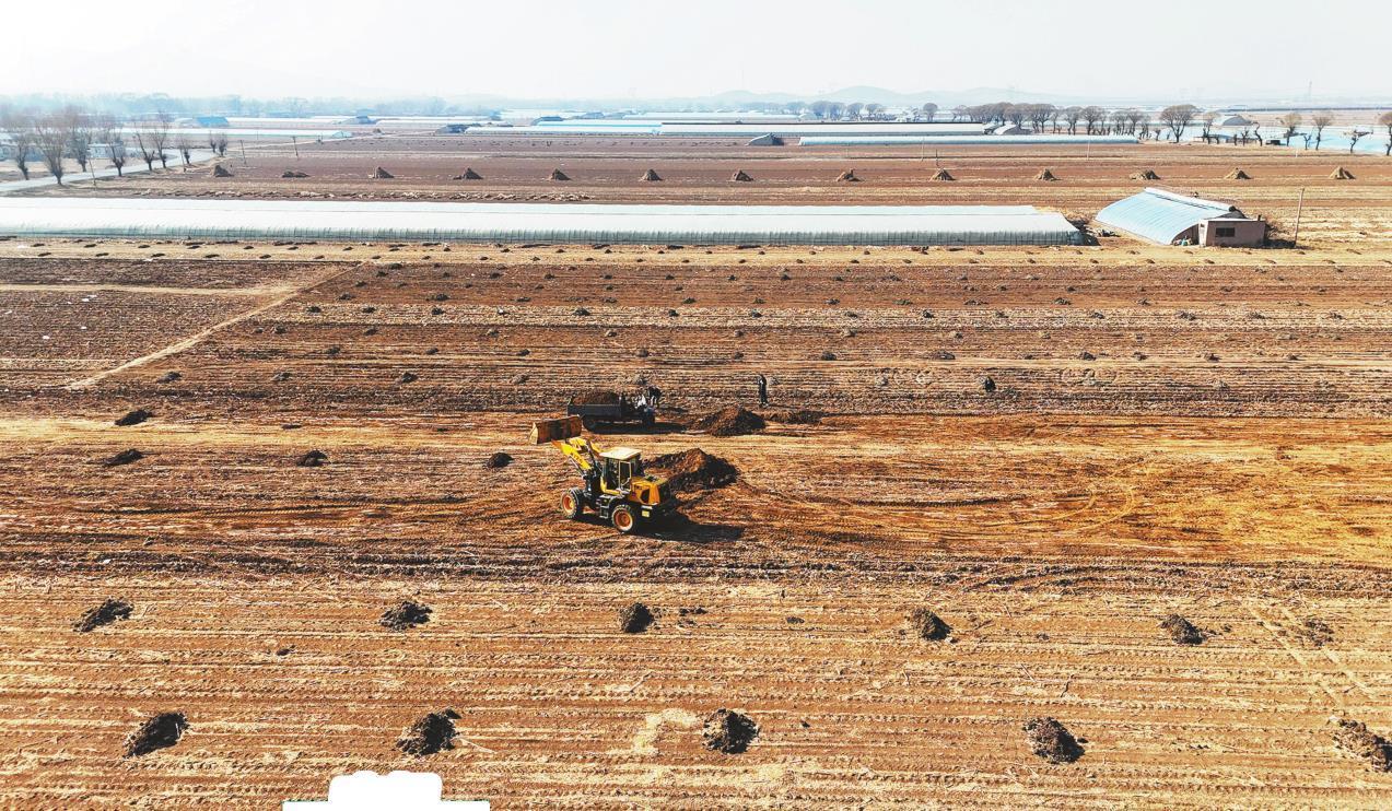 在葫芦岛市南票区金星镇广袤的田地里，整地、施肥、覆土等春耕准备工作正有序展开。 刘丹 辽宁日报特约记者 杨兵 摄