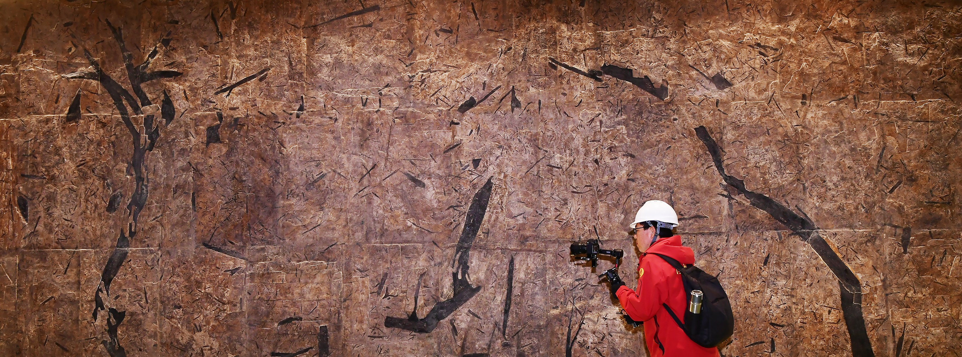 世界最大的植物化石墙