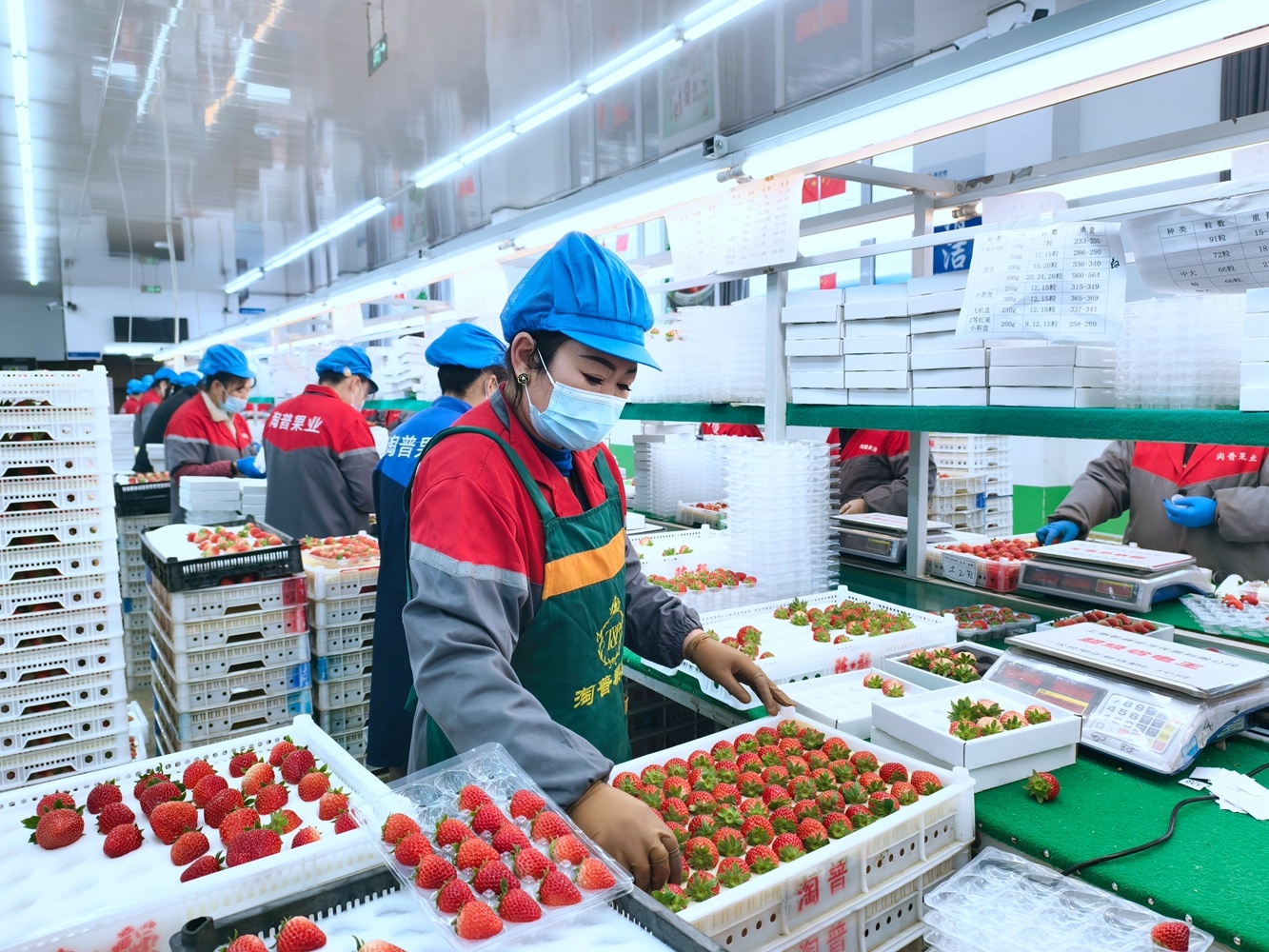 （摄影：周广庆）