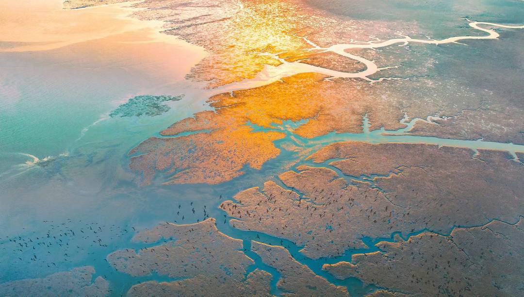 广袤的鸭绿江口湿地被列入世界自然遗产地。（曾伟 摄）