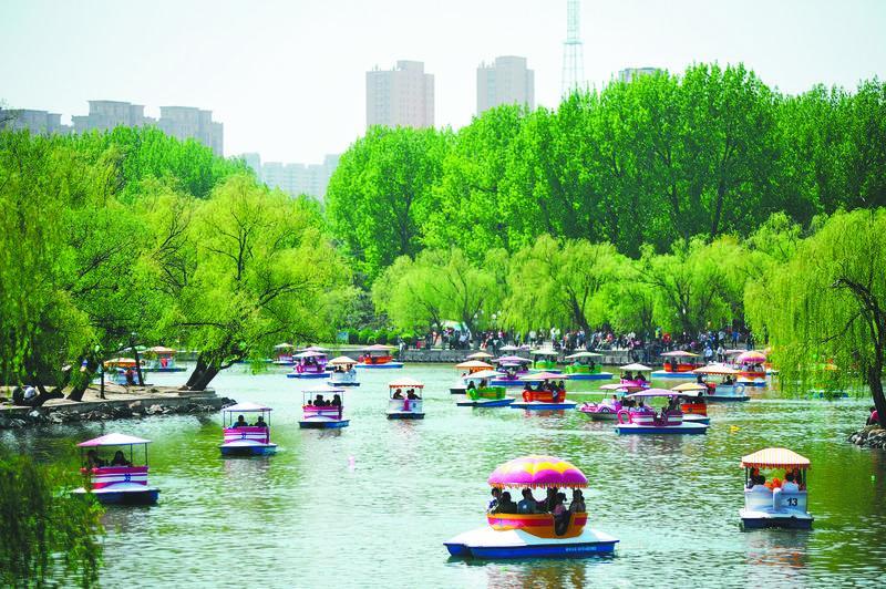 二一九公园成为市民及游客休闲度假的好地方。