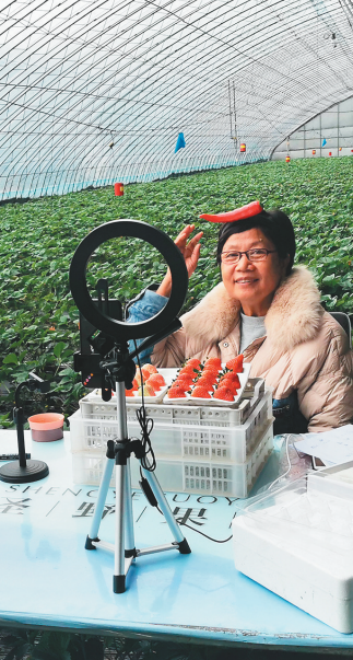 主播在草莓大棚里直播卖货。(摄影:蔡晓华)