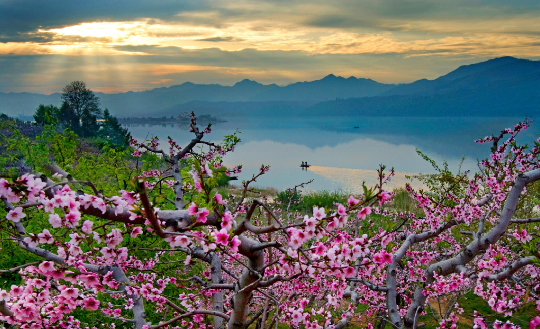 每年春季，宽甸河口桃花竞相绽放。（摄影：毕严伟）