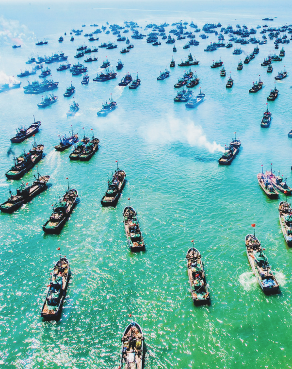 9月1日12时,丹东东港市沿海渔港近1500艘渔船同时出海捕鱼