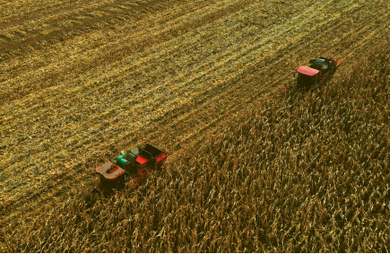 北塔镇村民收割大田玉米。