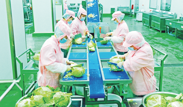 4月11日,在预制菜智能加工车间,工人们在生产线上加工预制菜品。(万重 摄)