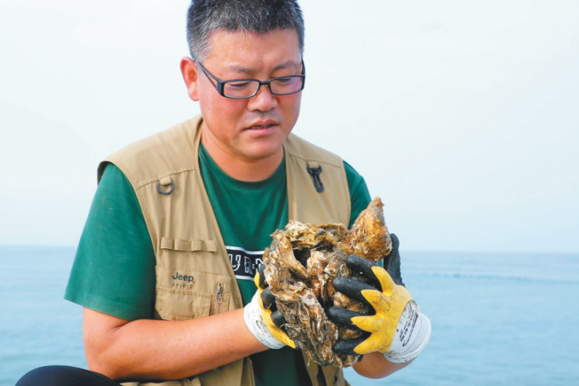 依托丰富的海洋资源优势庄河全产业链发展生蚝产业。(来源:庄河市委宣传部)