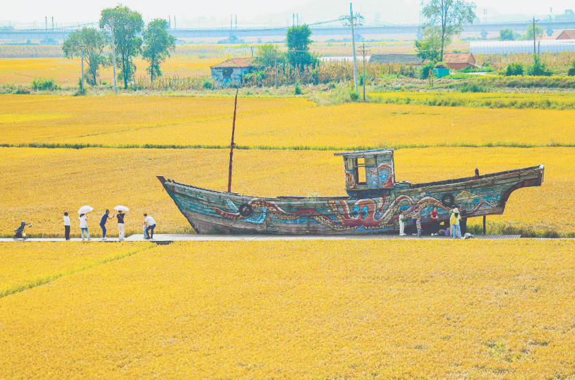 （摄影：周广庆）