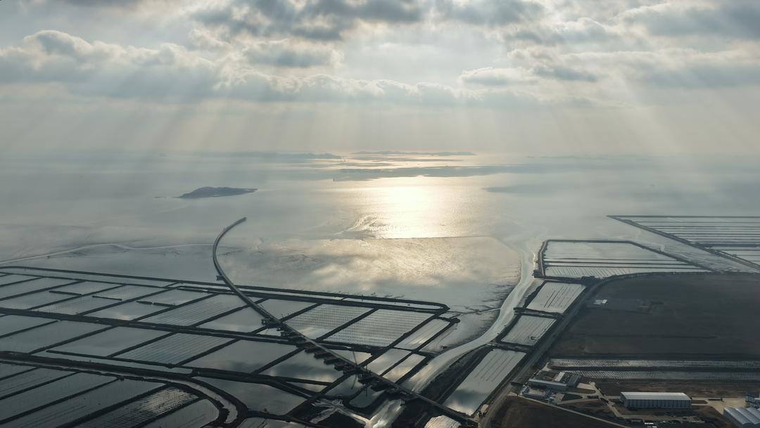 （摄影：于炳佳 辽宁日报特约记者 朴峰）